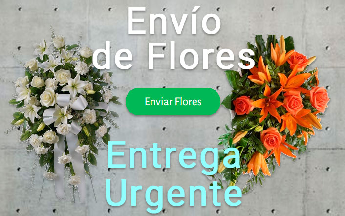 Envio flores difunto urgente a Tanatorio Hospitalet de Llobregat